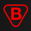 B MARK